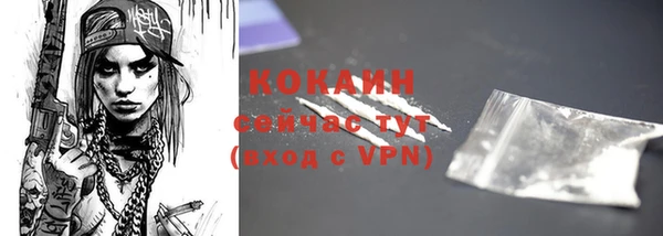 бошки Краснослободск