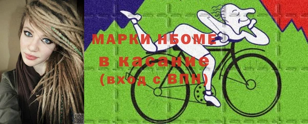 бошки Краснослободск