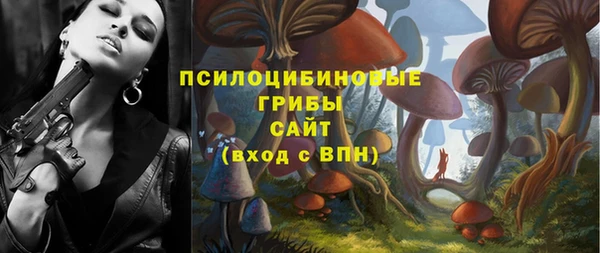 бошки Красноперекопск